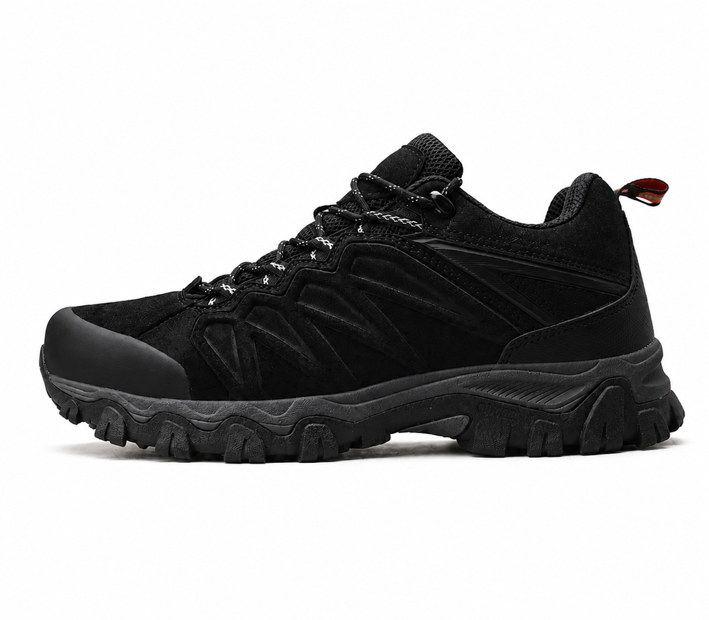Chaussures de randonnée