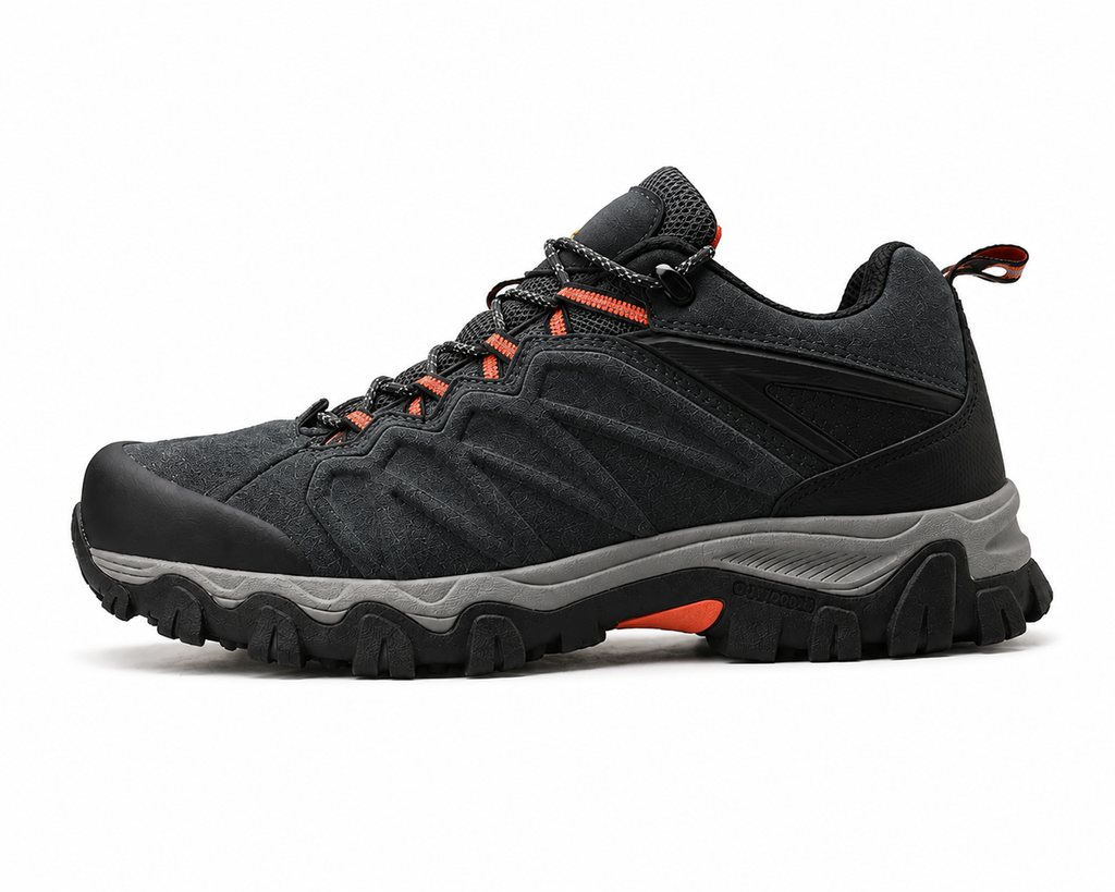Chaussures de randonnée